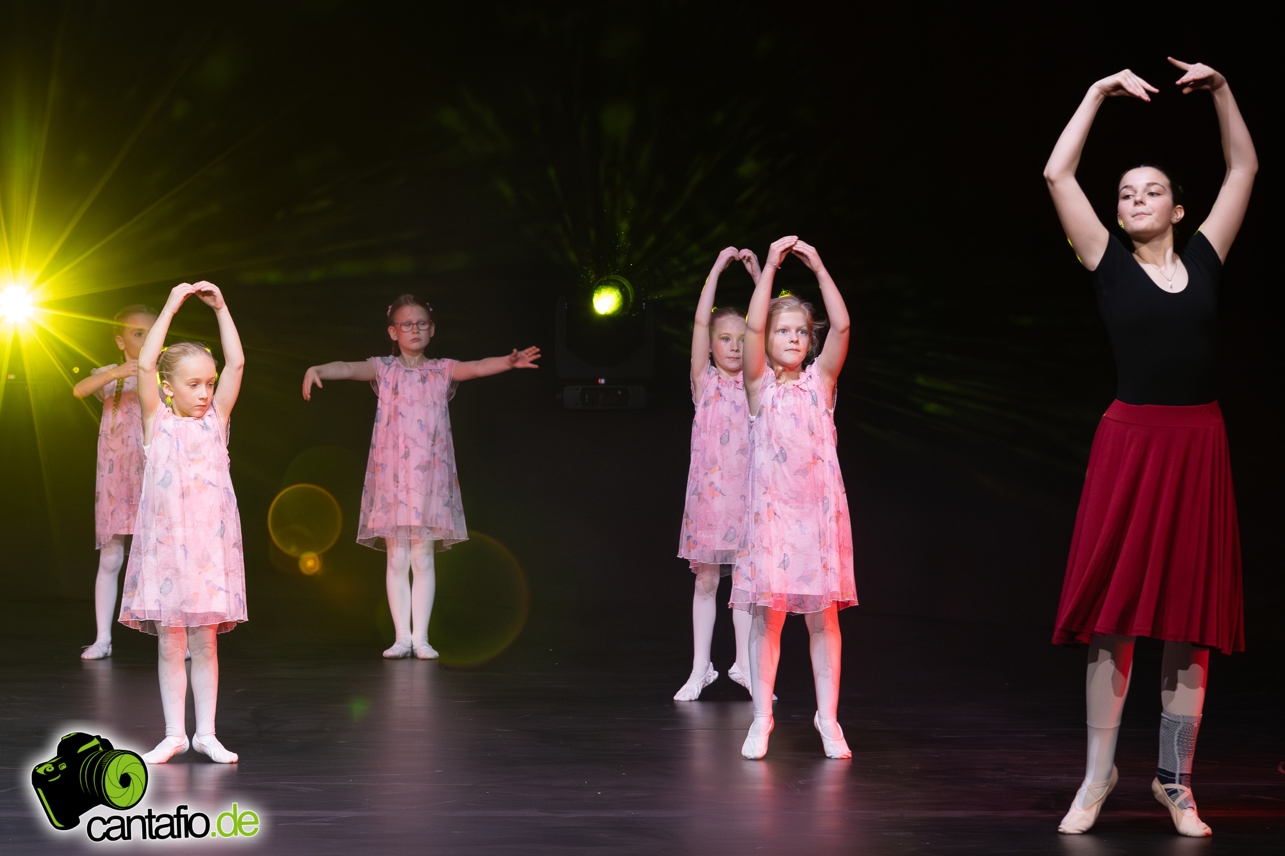  MG 5411 Verbessert RR